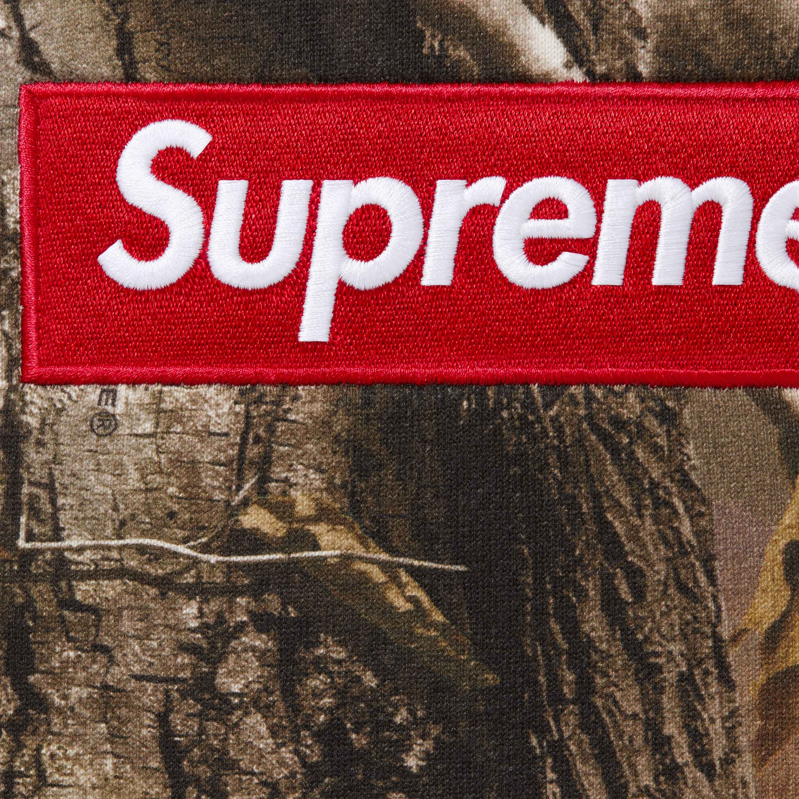 Box Logo Hooded Sweatshirt view 13